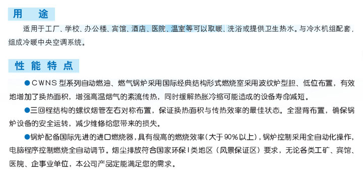 CWNS燃?xì)猓ㄓ停┏簾崴仩t