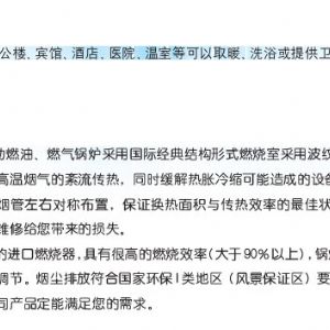 CWNS燃?xì)猓ㄓ停┏簾崴仩t